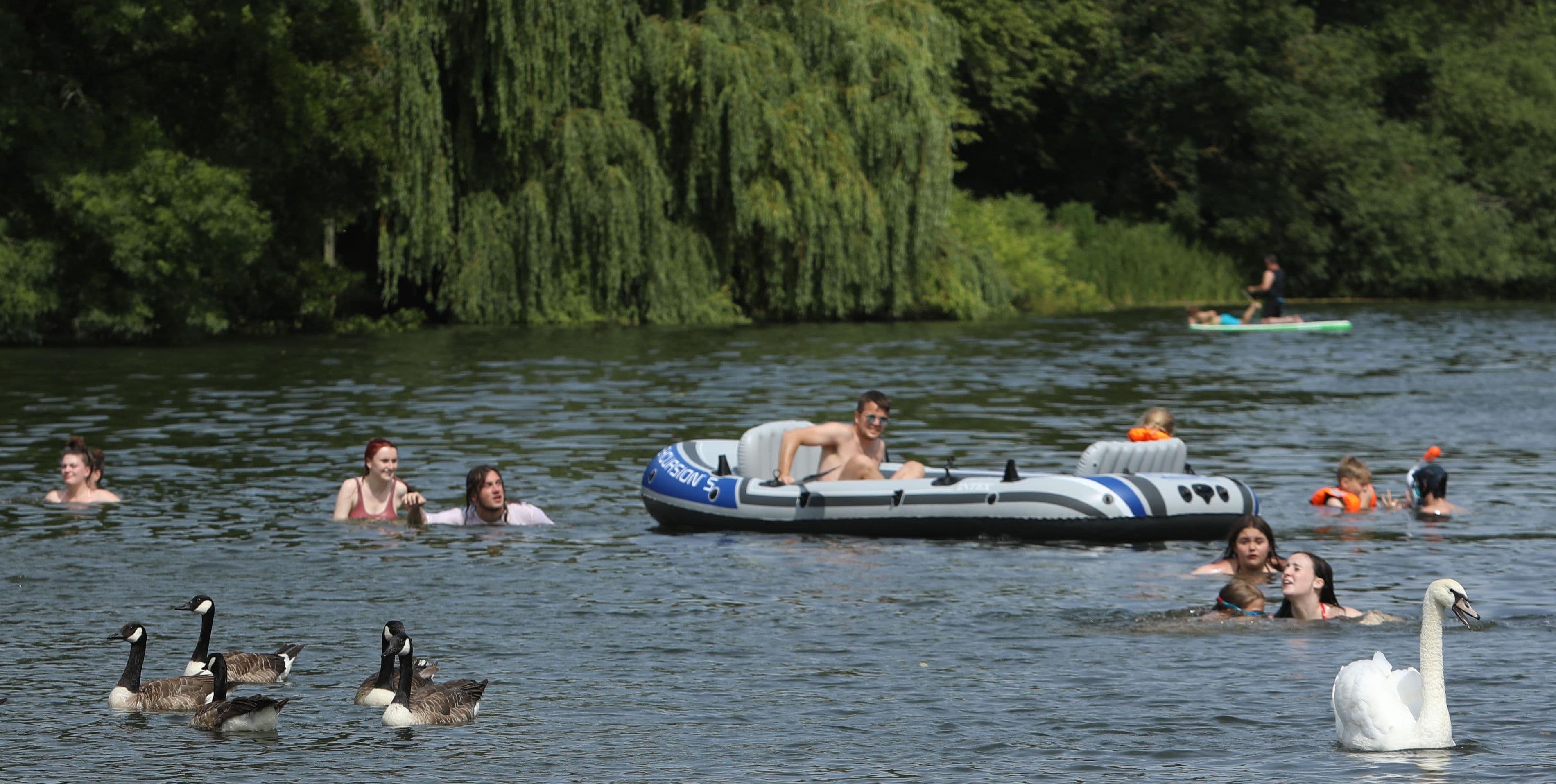 meadow farm camping river w s